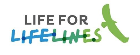 LFL logo